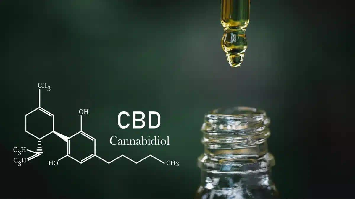 Exploring the Link between CBD and Libido: A Comprehensive Review