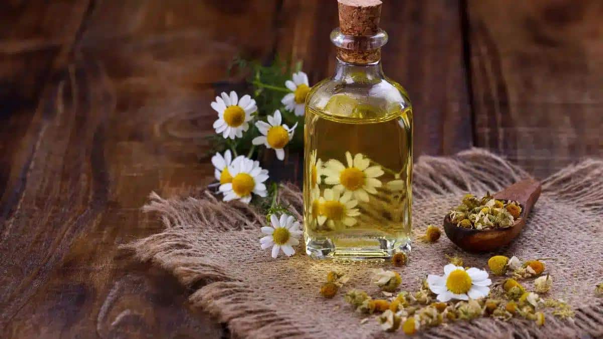 Essential Oils for Pink Eye: Are They Safe?