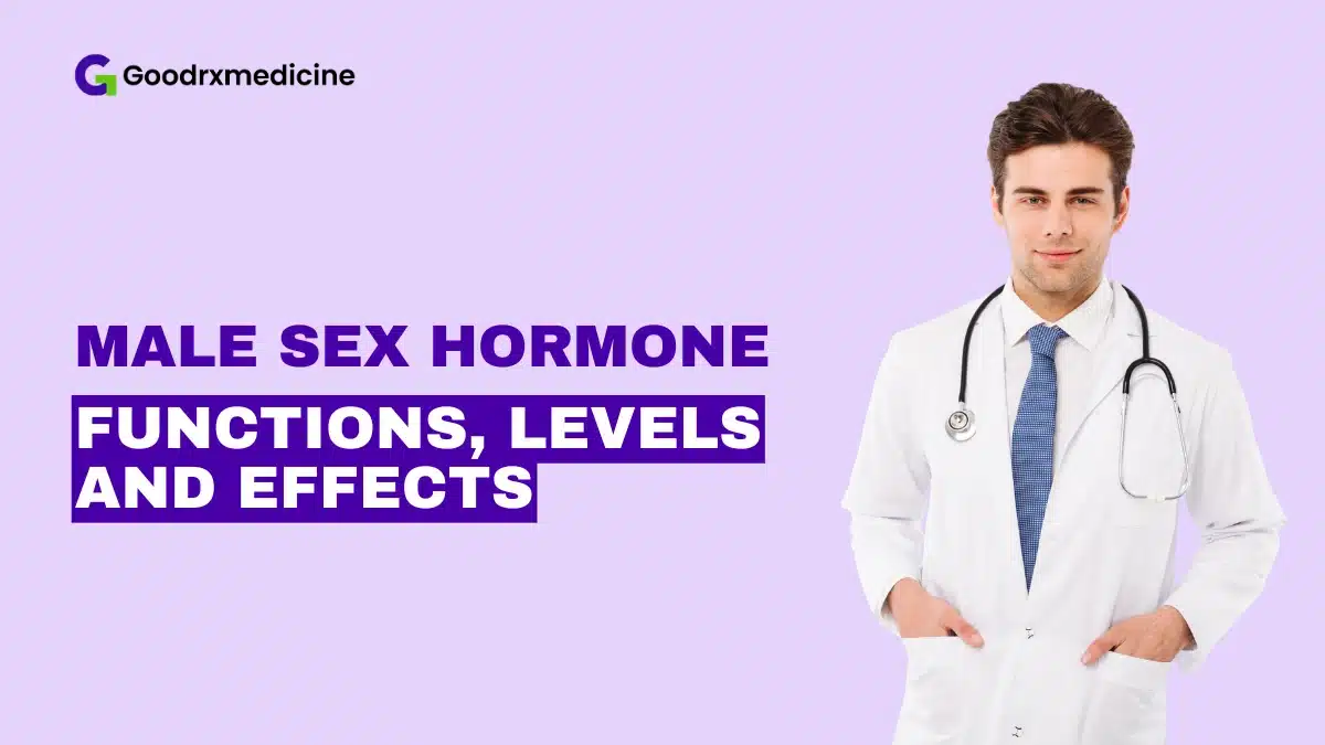 Male Sex Hormone