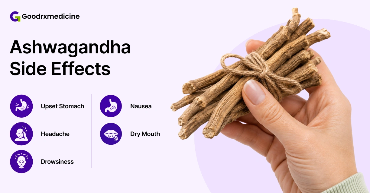 Hand holding ashwagandha roots beside common ashwagandha side effects