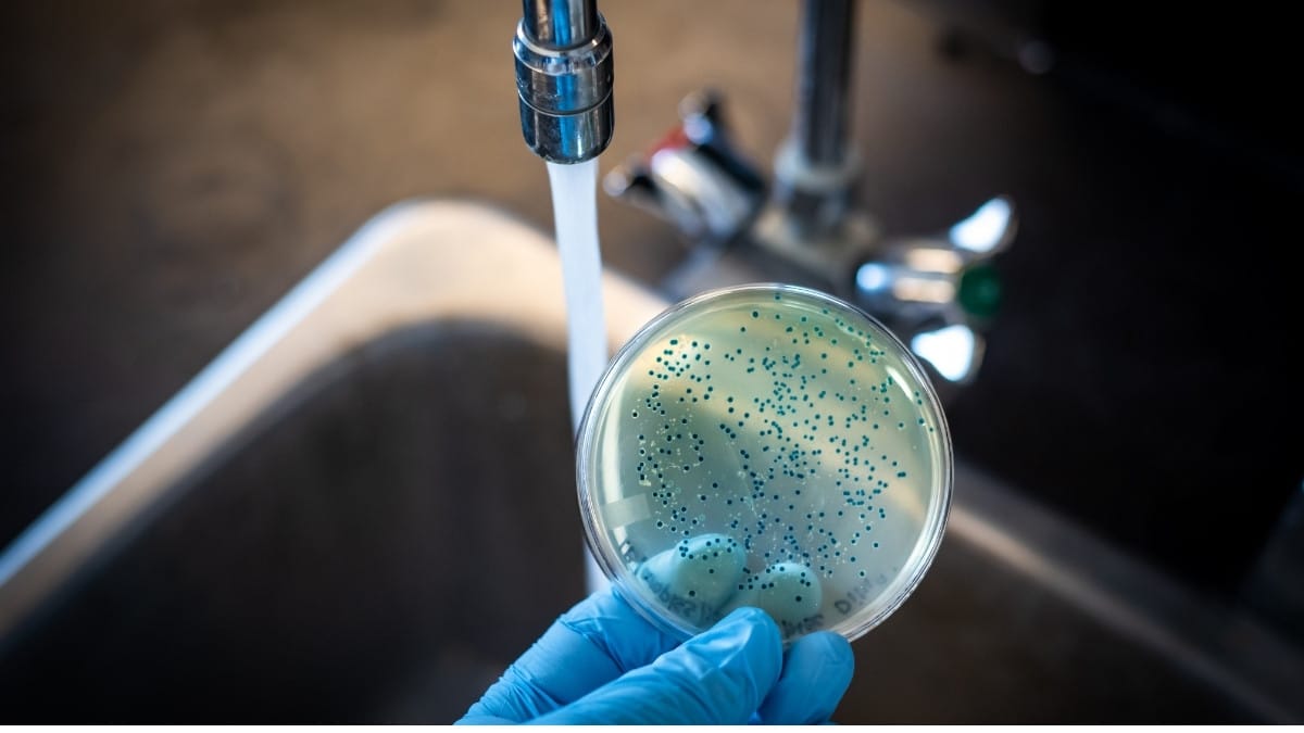 Lab testing cholera in water