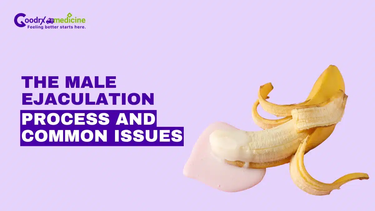 The Male Ejaculation Process and Common Issues