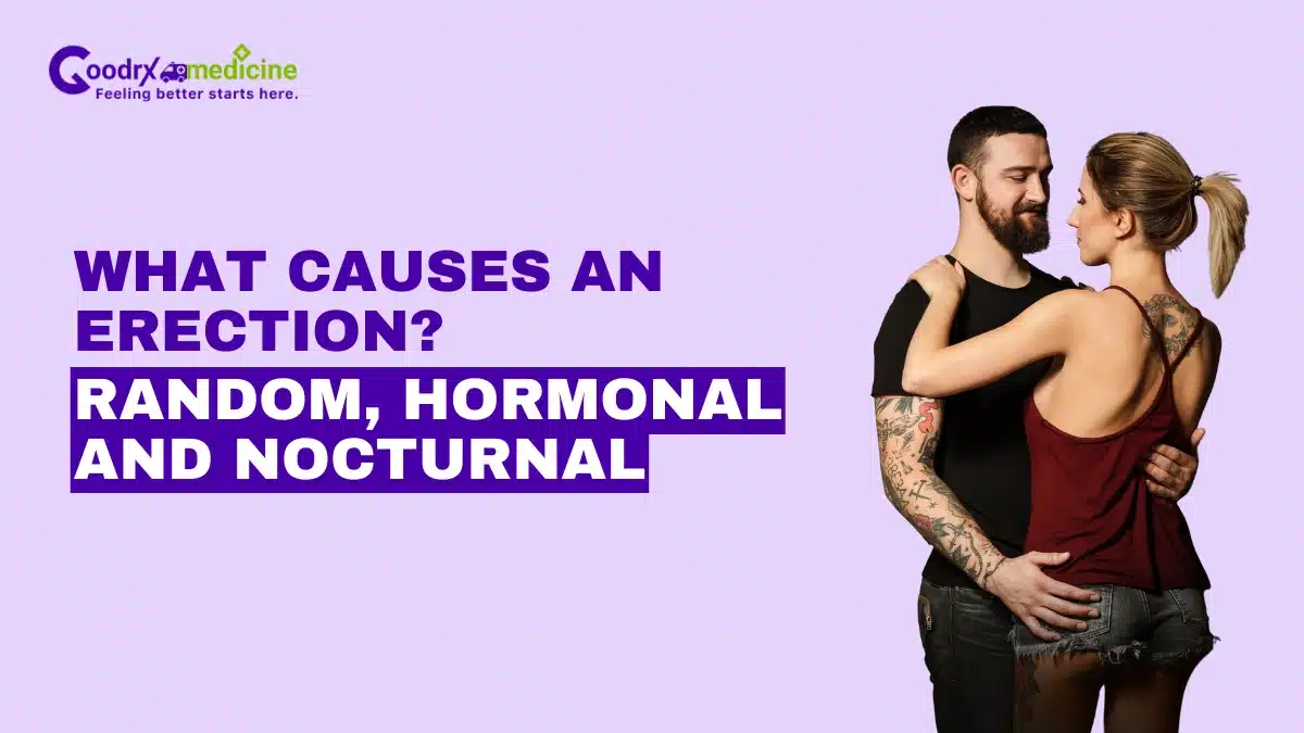 What Causes an Erection
