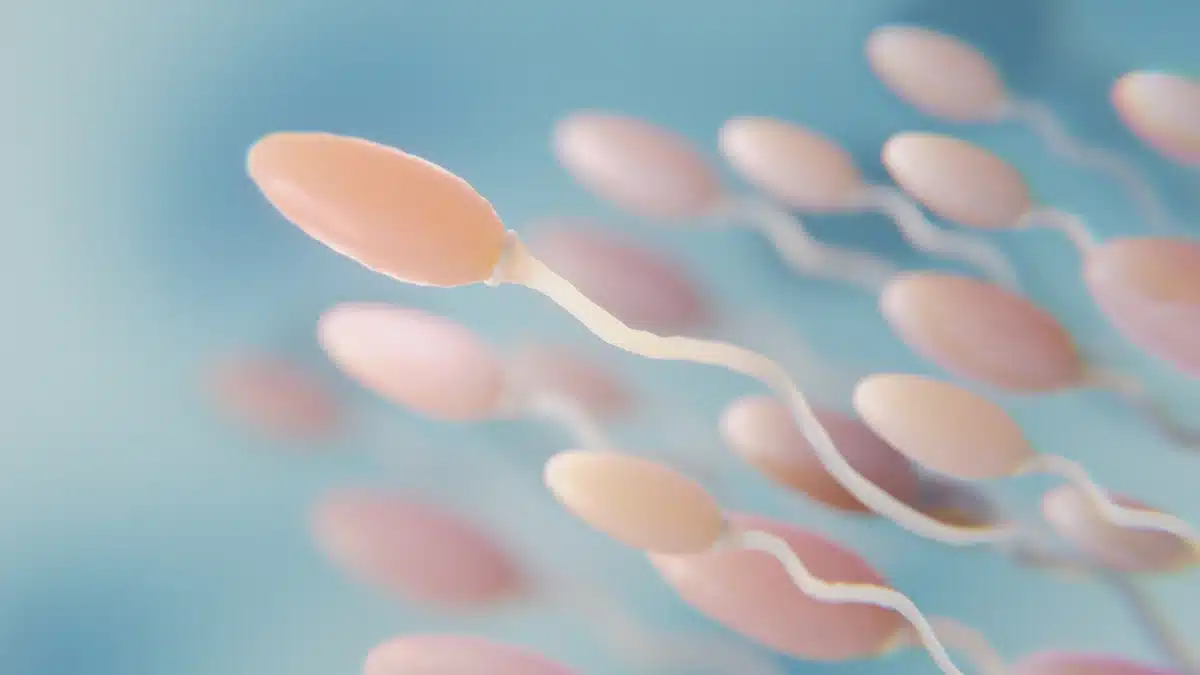 what happens if you block sperm from coming out