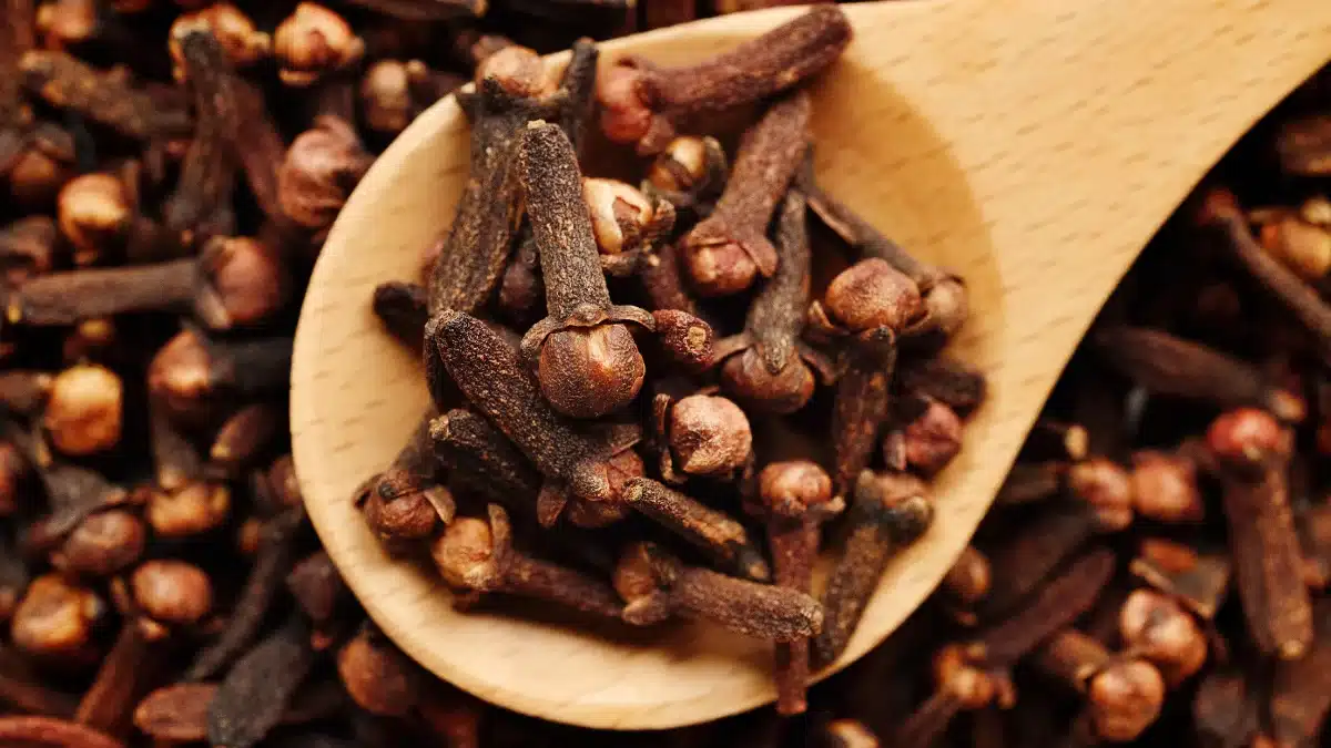 “Unveiling the Benefits of Cloves Sexually Enhance Intimacy Naturally