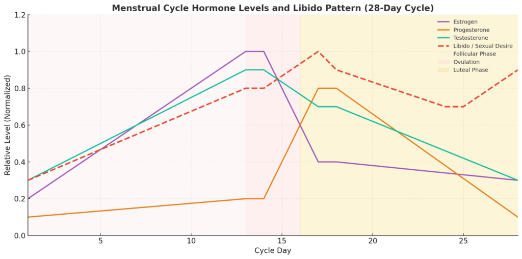 Menstrual Cycle Hormone Levels and Libido Pattern (28-Day Cycle)