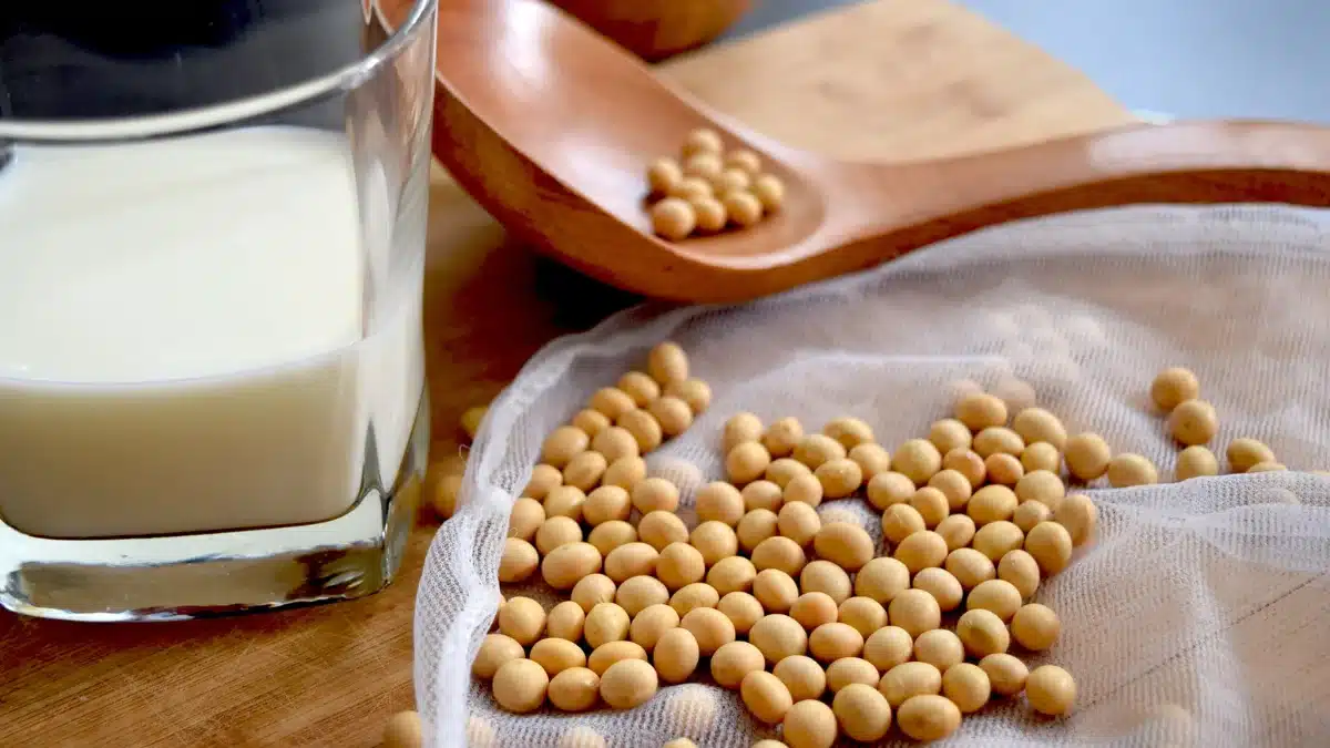 does soy lower testosterone