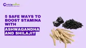 Boost Stamina With Ashwagandha and Shilajit