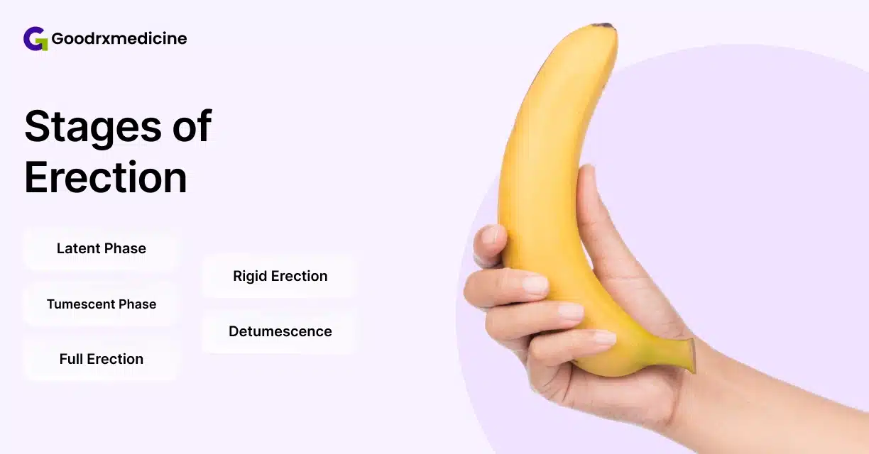 Hand holding banana illustrating the stages of erection