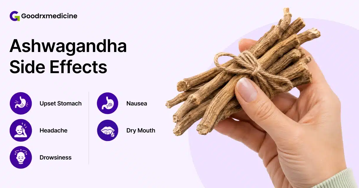 Hand holding ashwagandha roots beside common ashwagandha side effects
